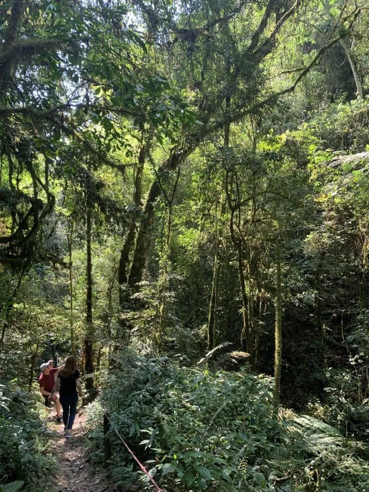 Família caminhando na trilha do Recanto Salto Boa Vista